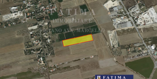 Foggia – Vendesi – terreno – Via Napoli 2,5 ettari + pozzo – poss. altro terreno