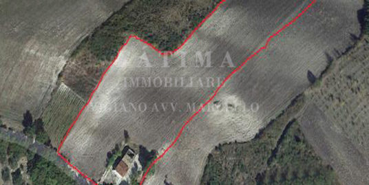 FOGGIA – VENDESI – TERRENO SEMINATIVO HA 2,4 con caseggiato – QUOTE INTEGRAZIONE