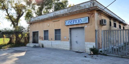 FOGGIA  – VENDESI – B.GO INCORONATA – LOCALI EX CASEIFICIO – CON PUNTO VENDITA.