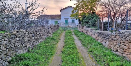 FOGGIA – VENDESI – QUOTA PODERE + MQ. 3.060 TERRENO, POZZO, ULIVETO, FRUTTETO