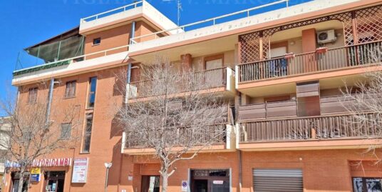 FOGGIA – VENDESI – VIALE FORTORE N. 11 – VANI 2/MQ. 63 CAT-BOX A PARTE MQ.23