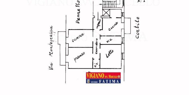 PANIMETRIA